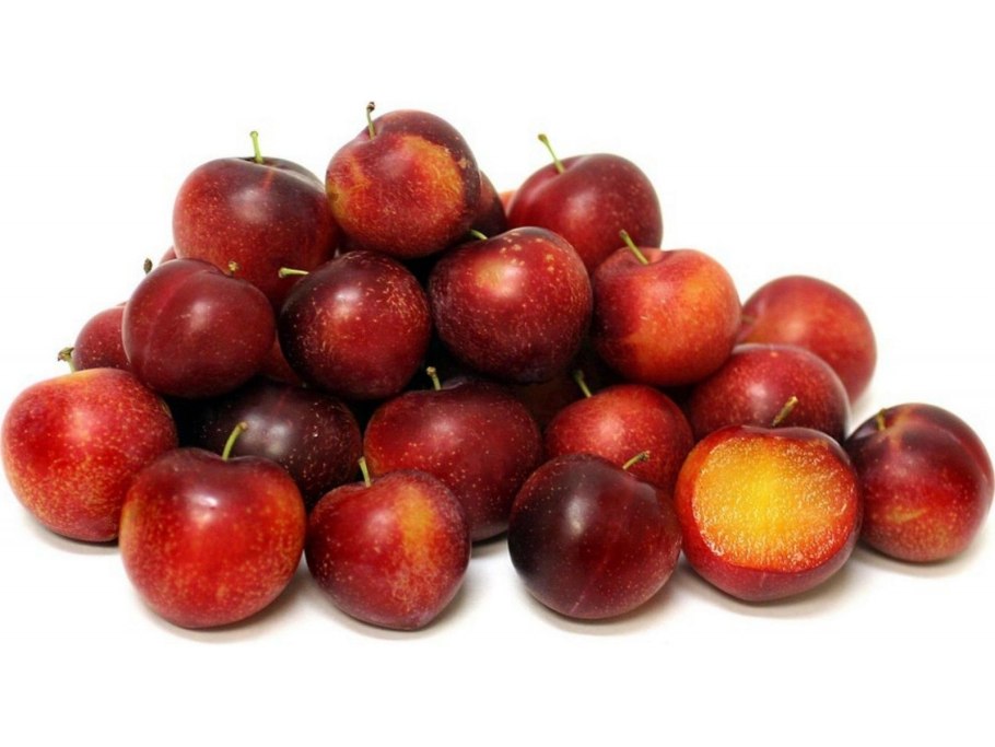 Слива Узбекистан