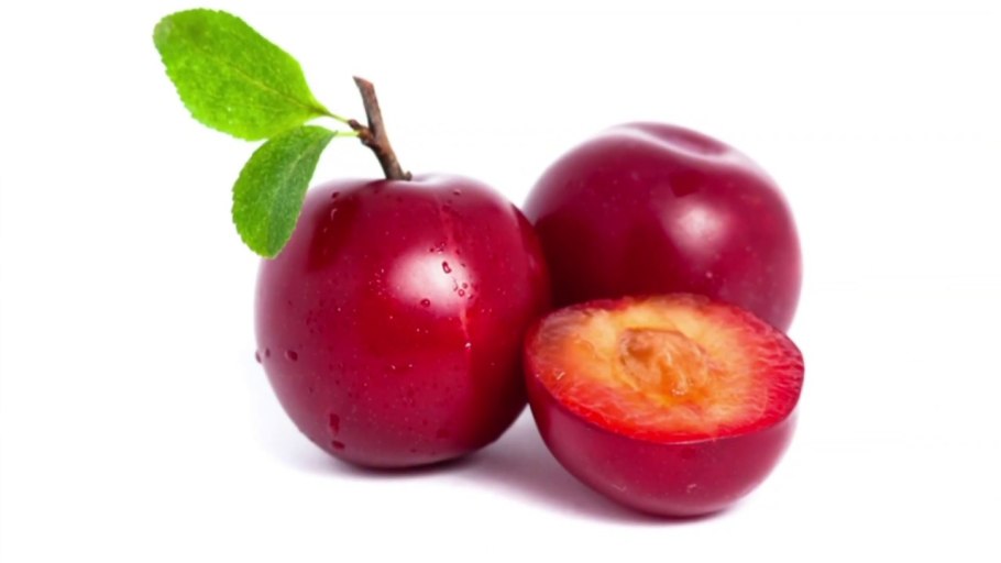 Алыча желтая Уральская