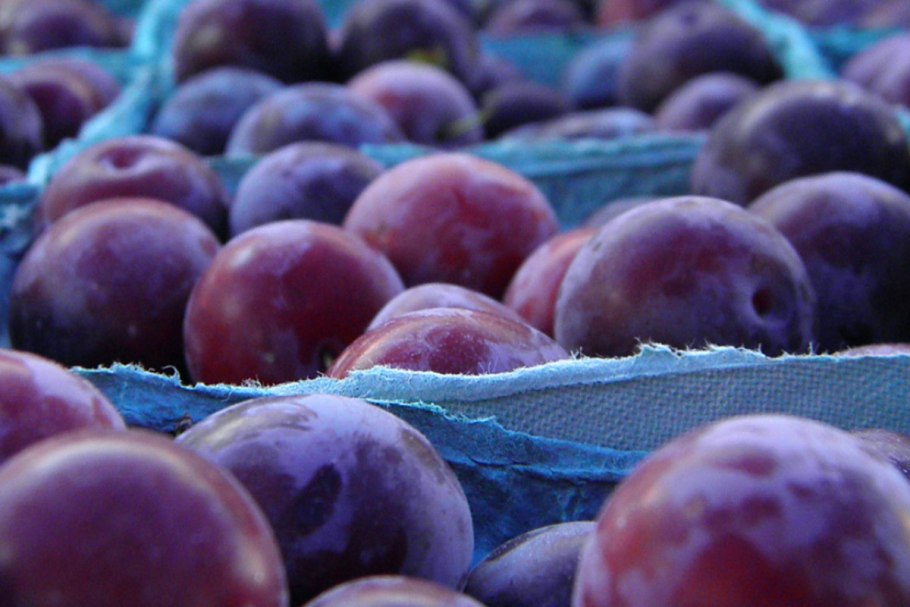 Слива Смолинка