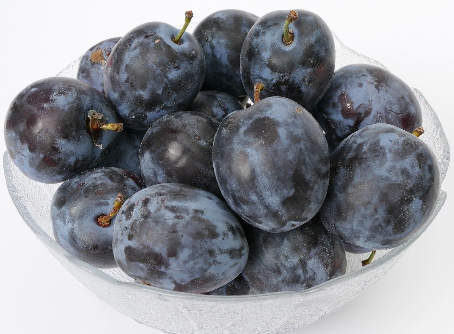 Слива чернослив Стенли