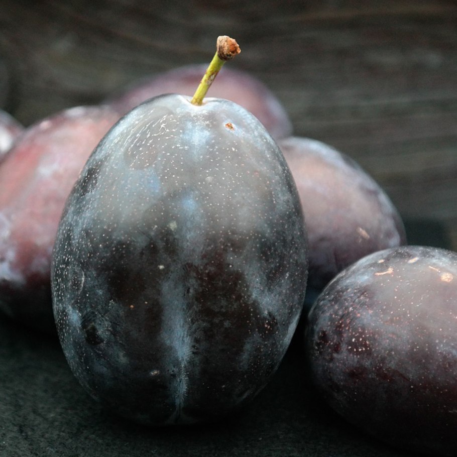 Шарафуга вельвет Санрайз