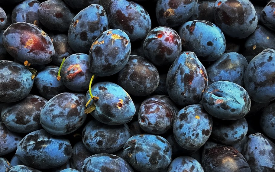 Слива красная внутри