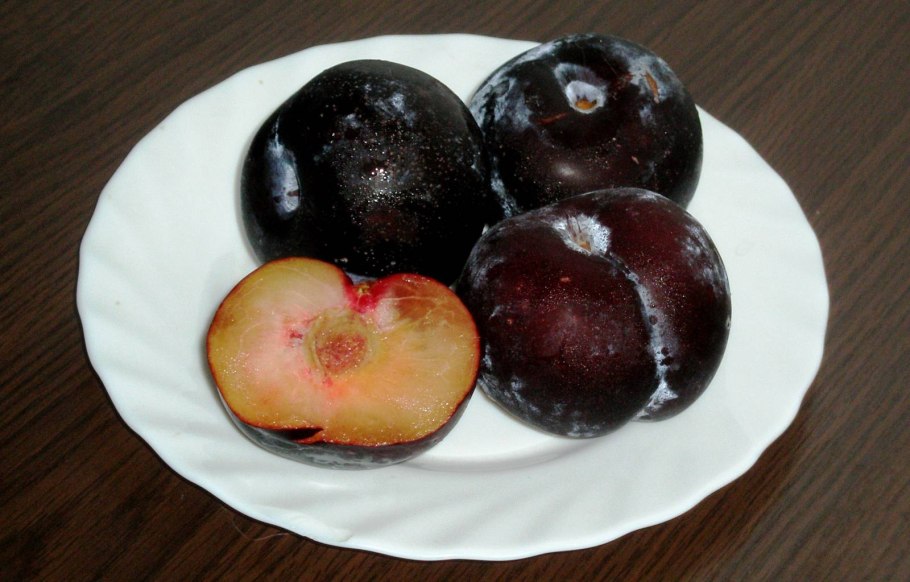 Венгерка Корнеевская