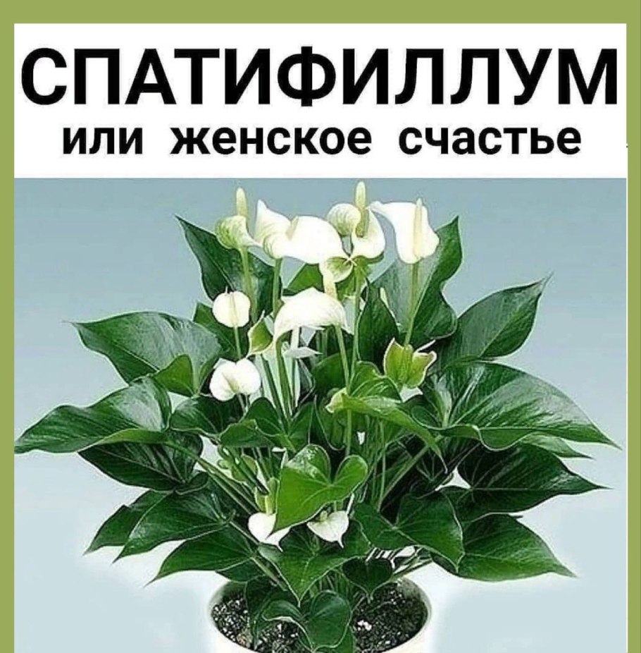 Микроволновка Панасоник nn-sd366w