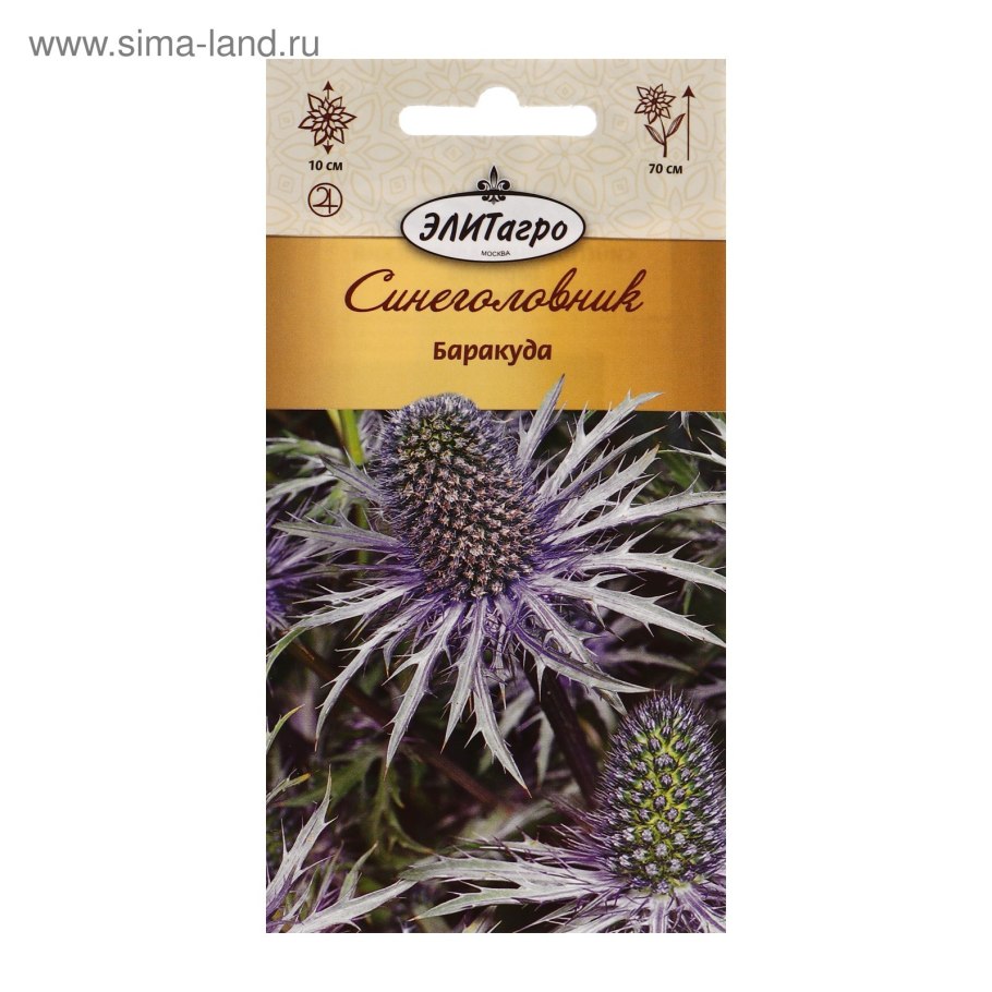Синеголовник Барракуда семена