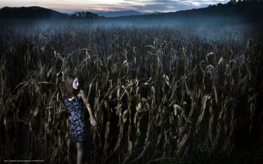 Страшное кукурузное поле