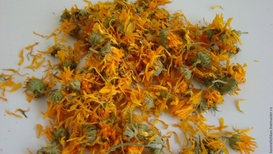 Календула лекарственная ноготки