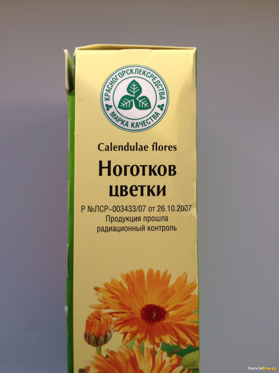 Календула противопоказания