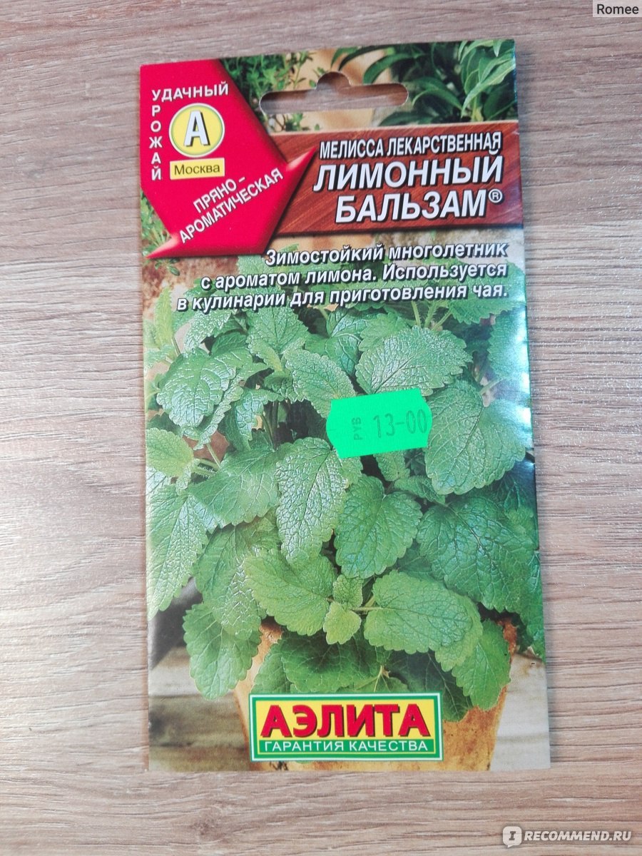 Мелисса лекарственная описание