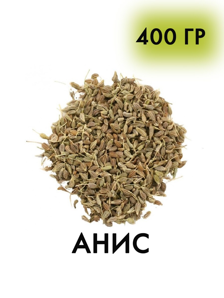 Плоды аниса (71 фото)