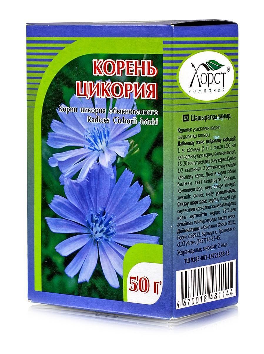 Цикорий обыкновенный Cichorium intybus