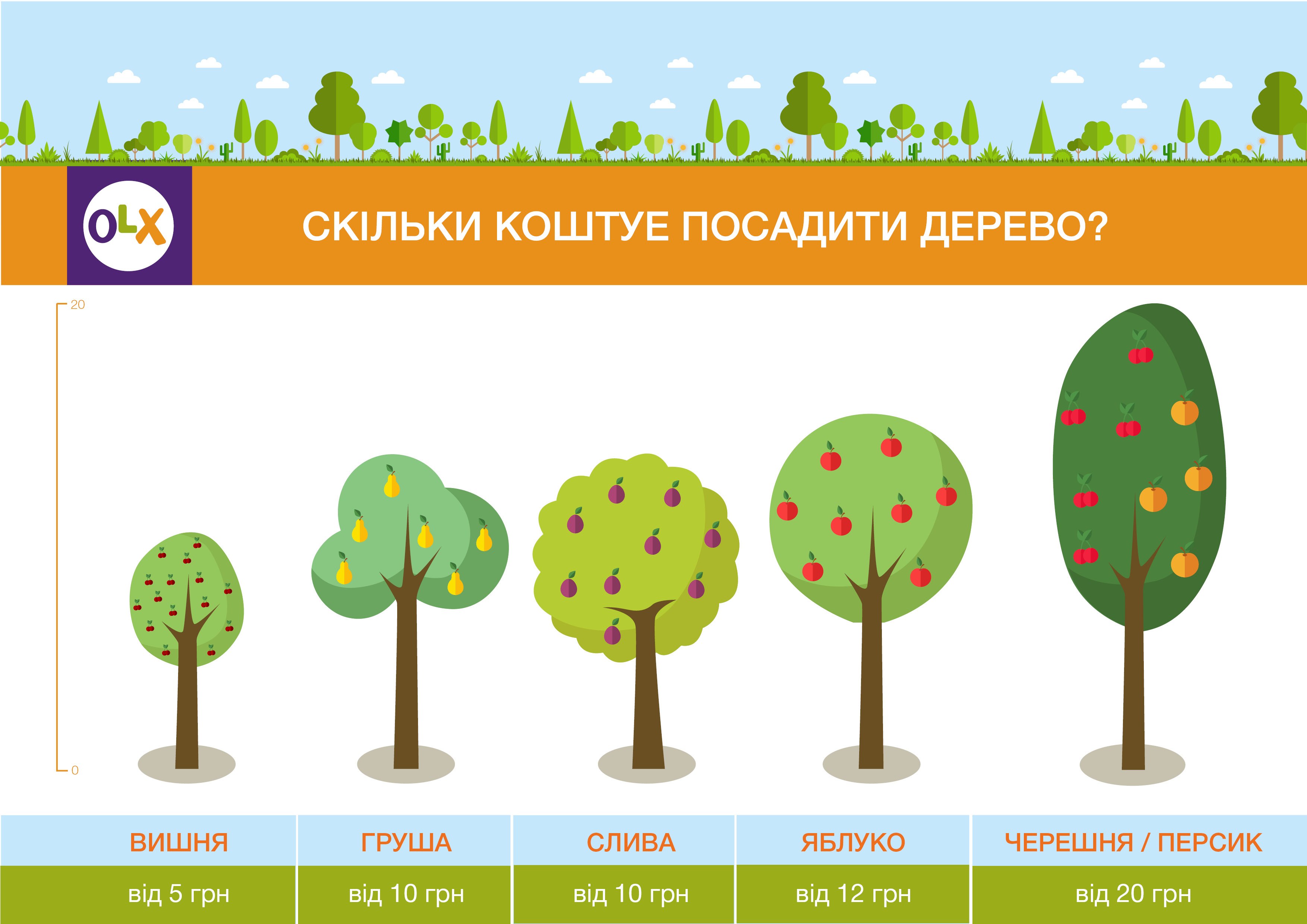 Хочу посадить деревья. Схема посадки плодовых деревьев. Схема посадки плодовых деревьев и кустарников на участке. Плодовые деревья для детей. Фруктовые деревья схема дерева.