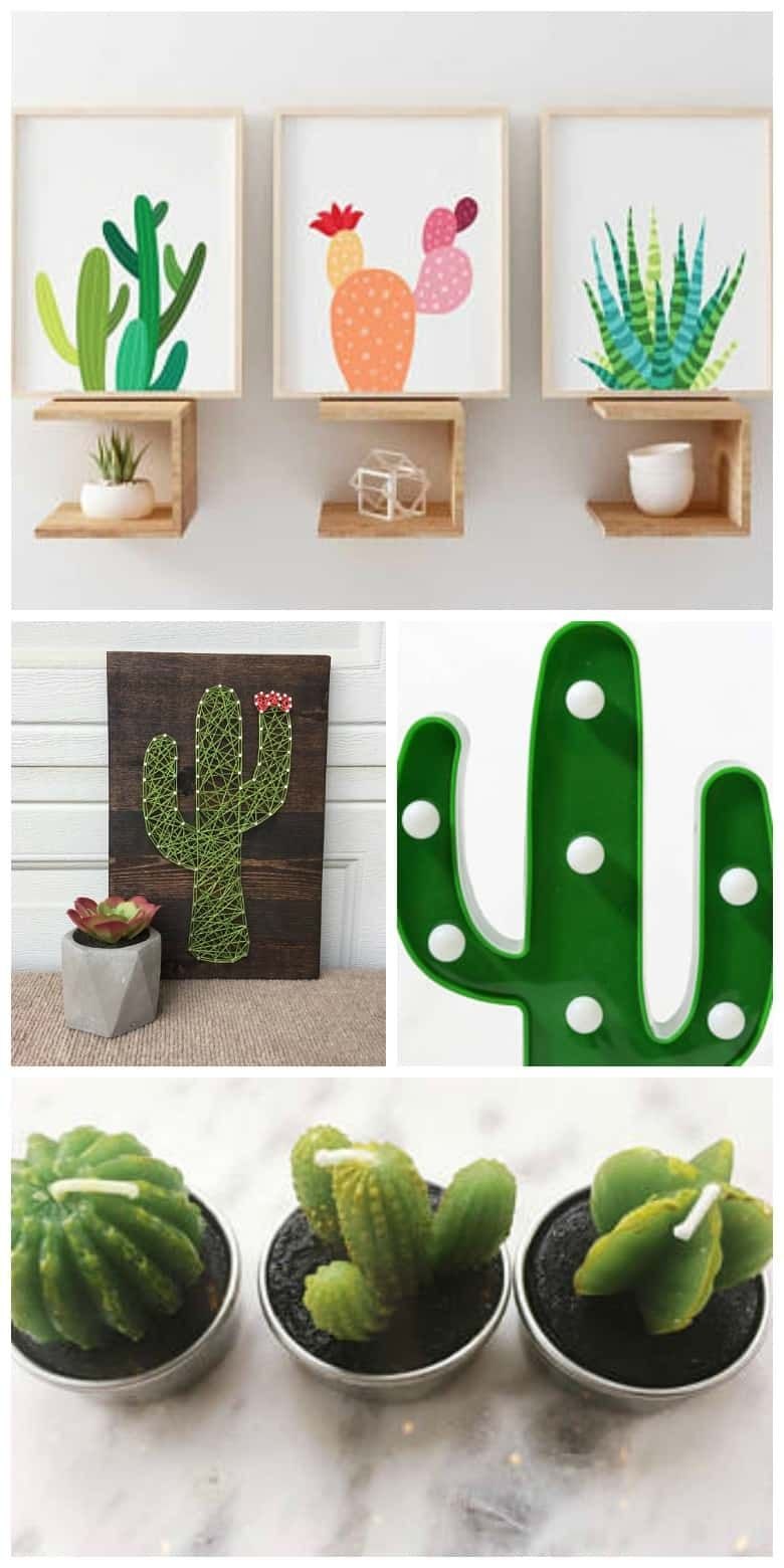 Cactus Pot горшки кактусы Суккуленты