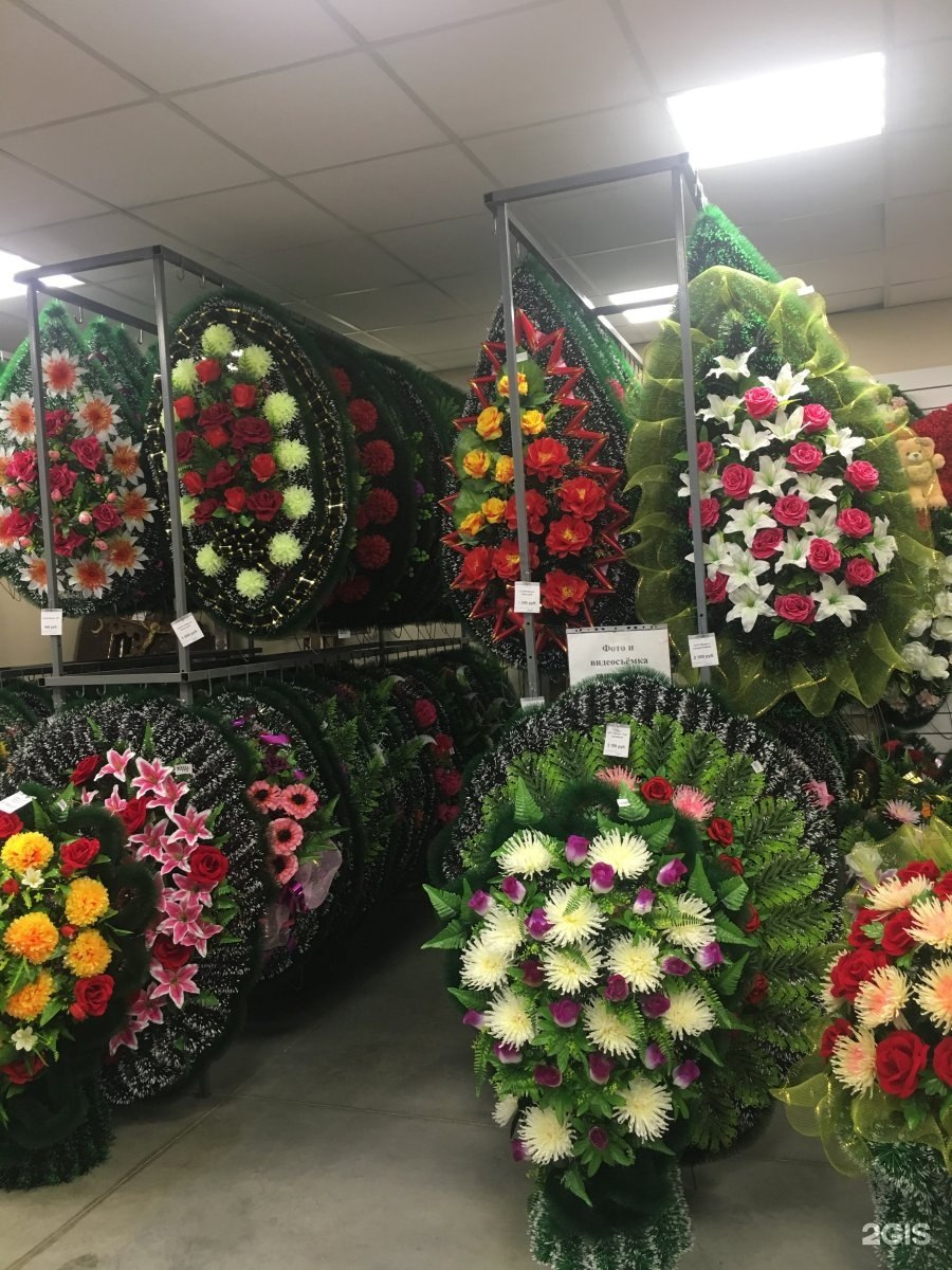 Колумнея шидеана