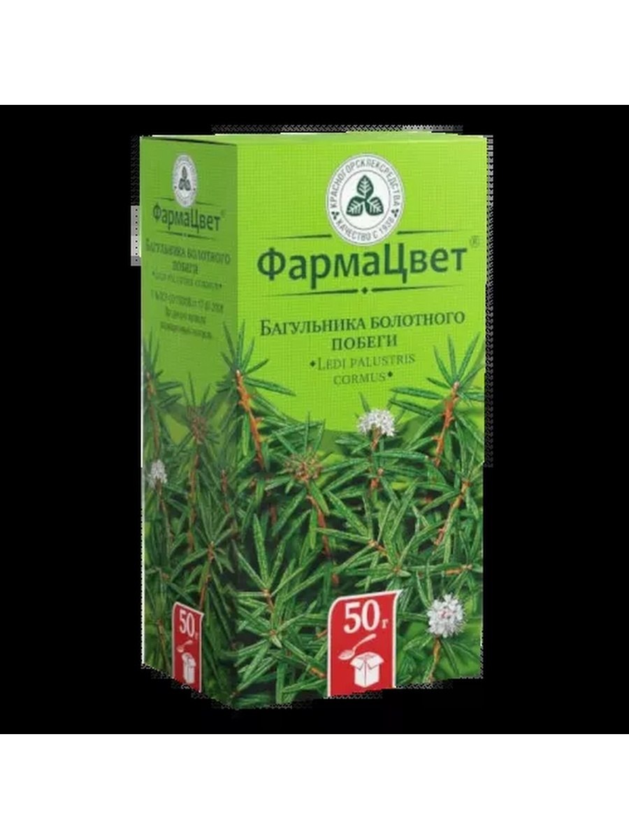 Багульник болотный