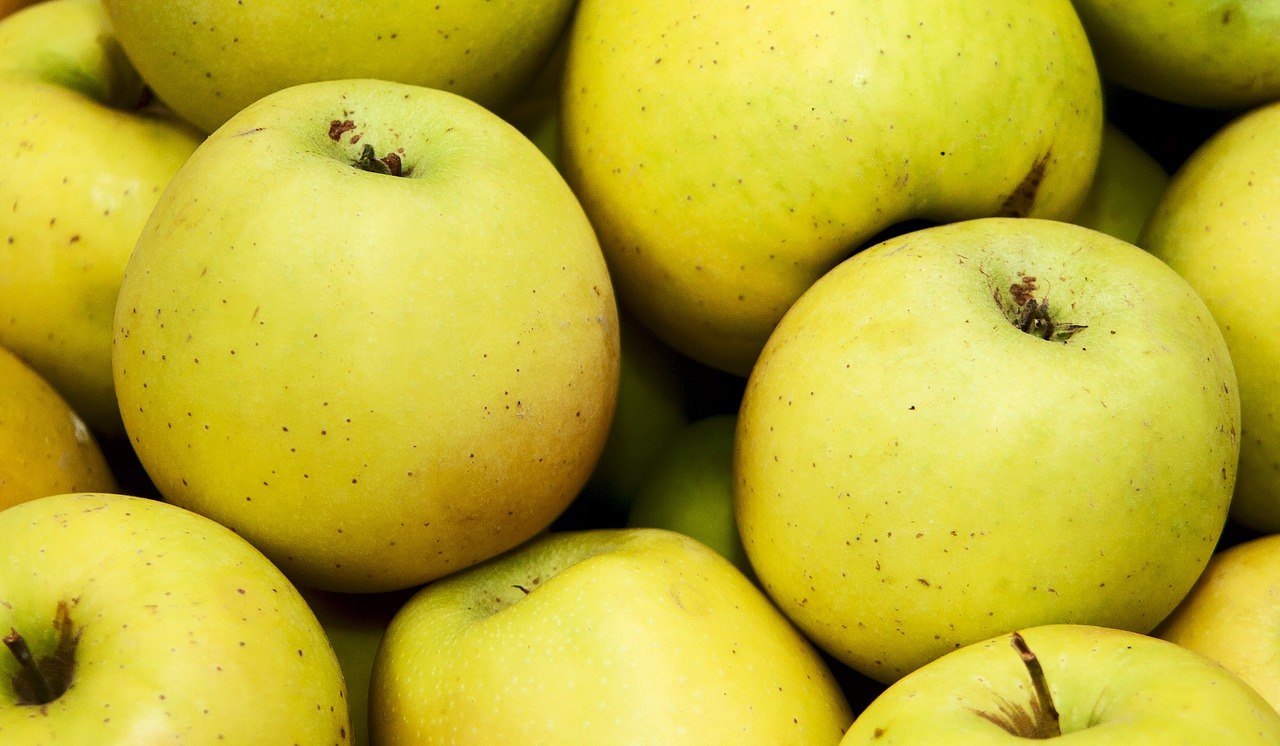 Яблоко фрукт или овощ. Голден Делишес. Яблоня Голден Делишес. Деревянное яблоко фрукт. Квадратное яблоко.