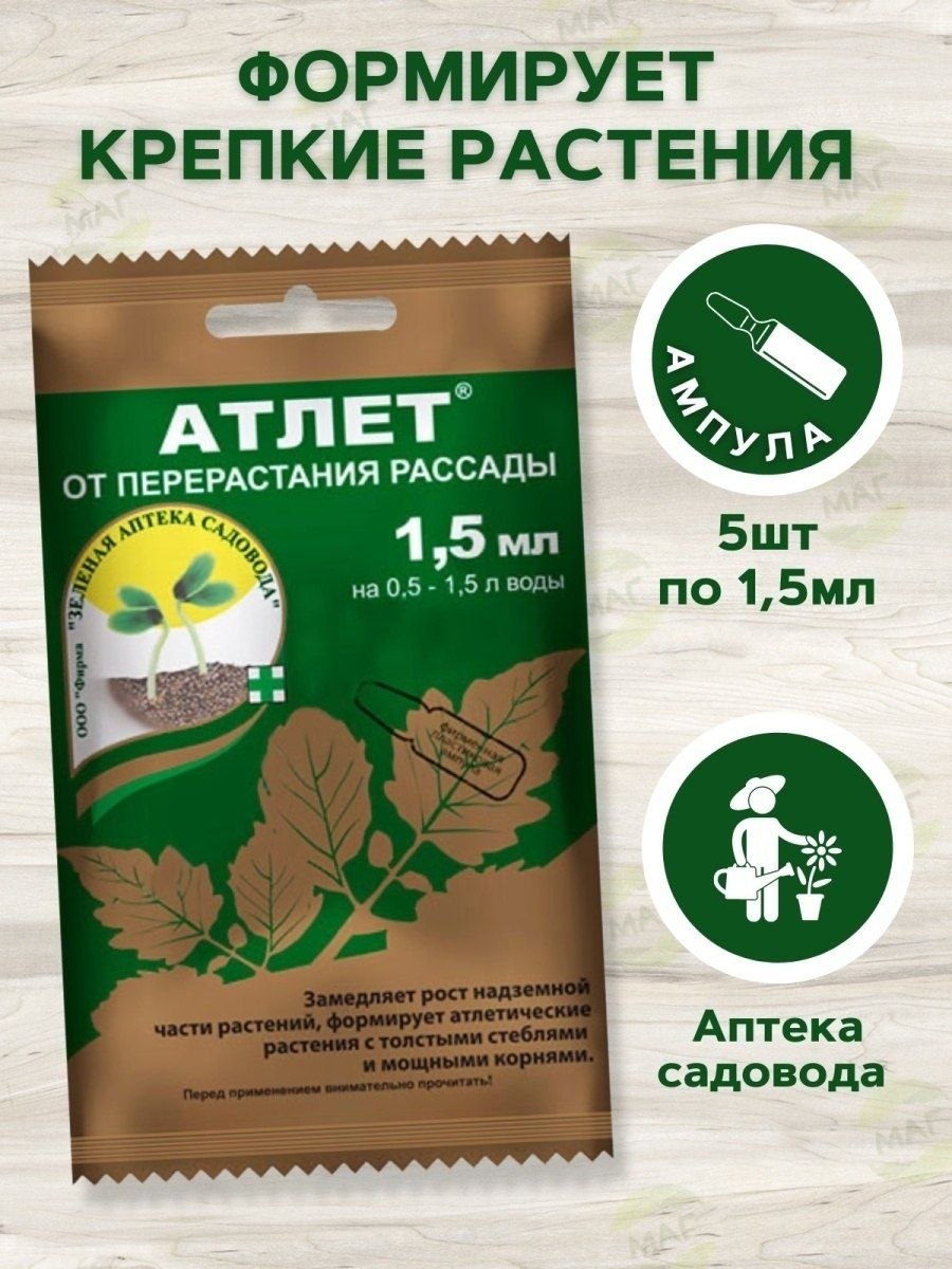 Атлет от перерастания рассады