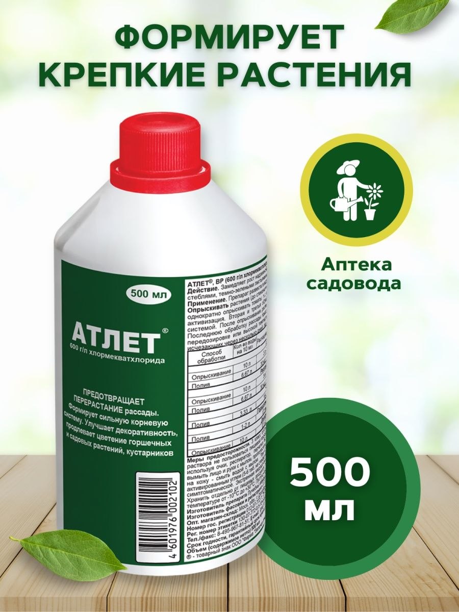 От перерастания рассады