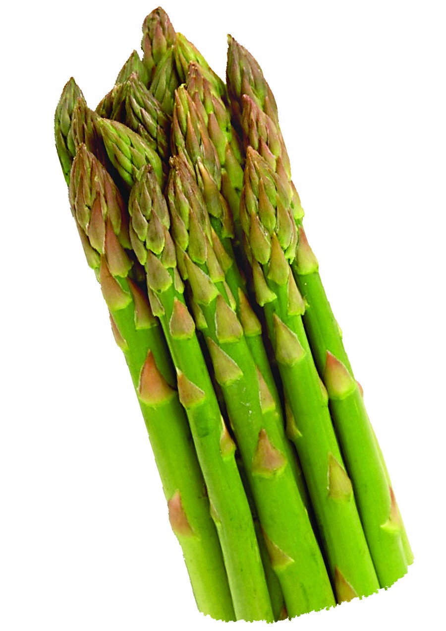 Аспарагус спаржа