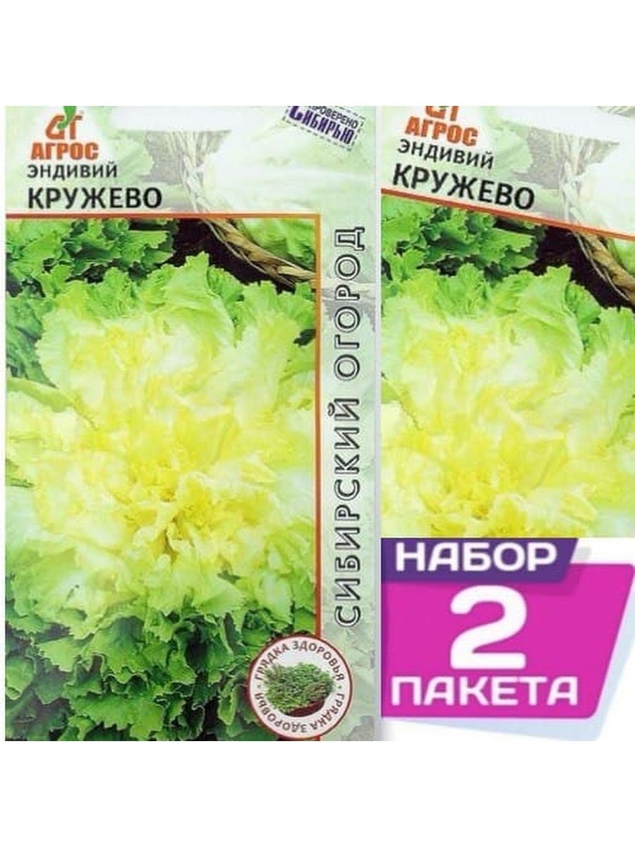 Цикорий эндивий