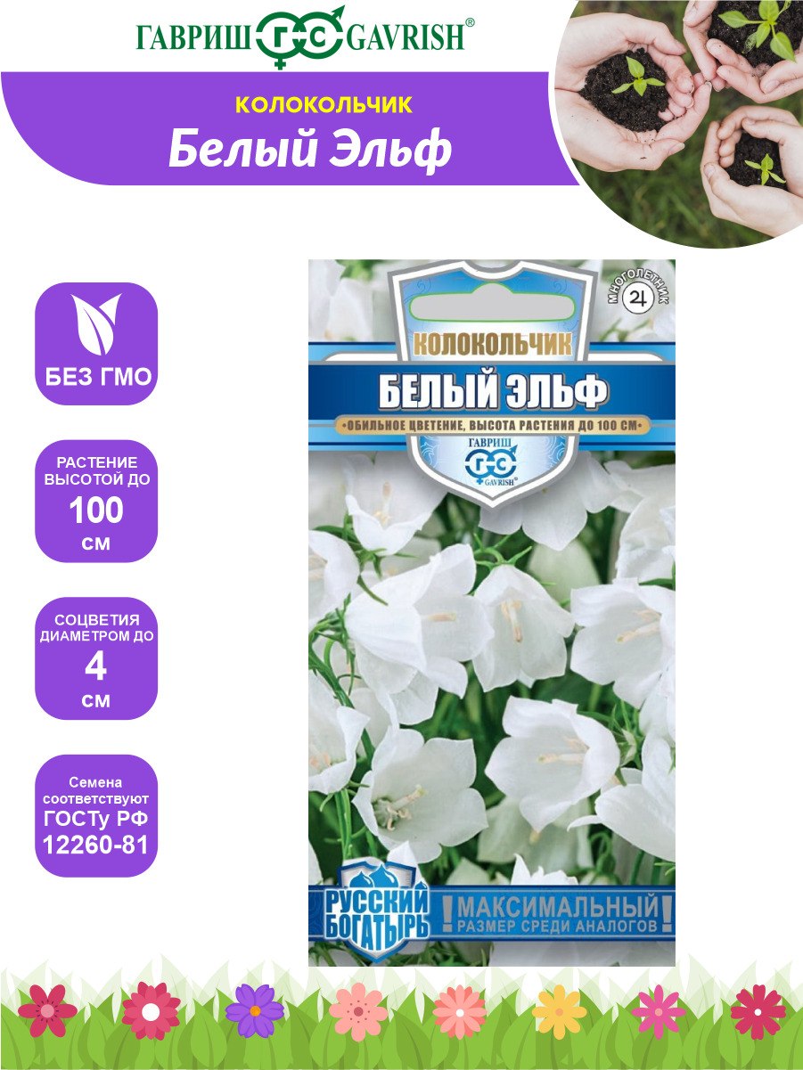 Белые колокольчики клумбы