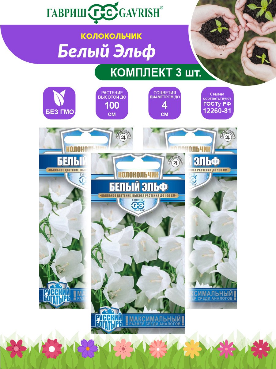 Колокольчик персиколистный Уайт