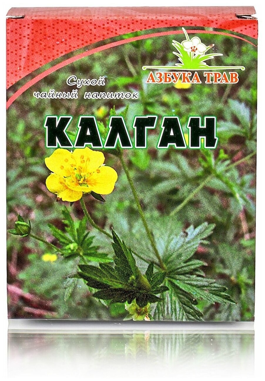 Колган растение (66 фото)