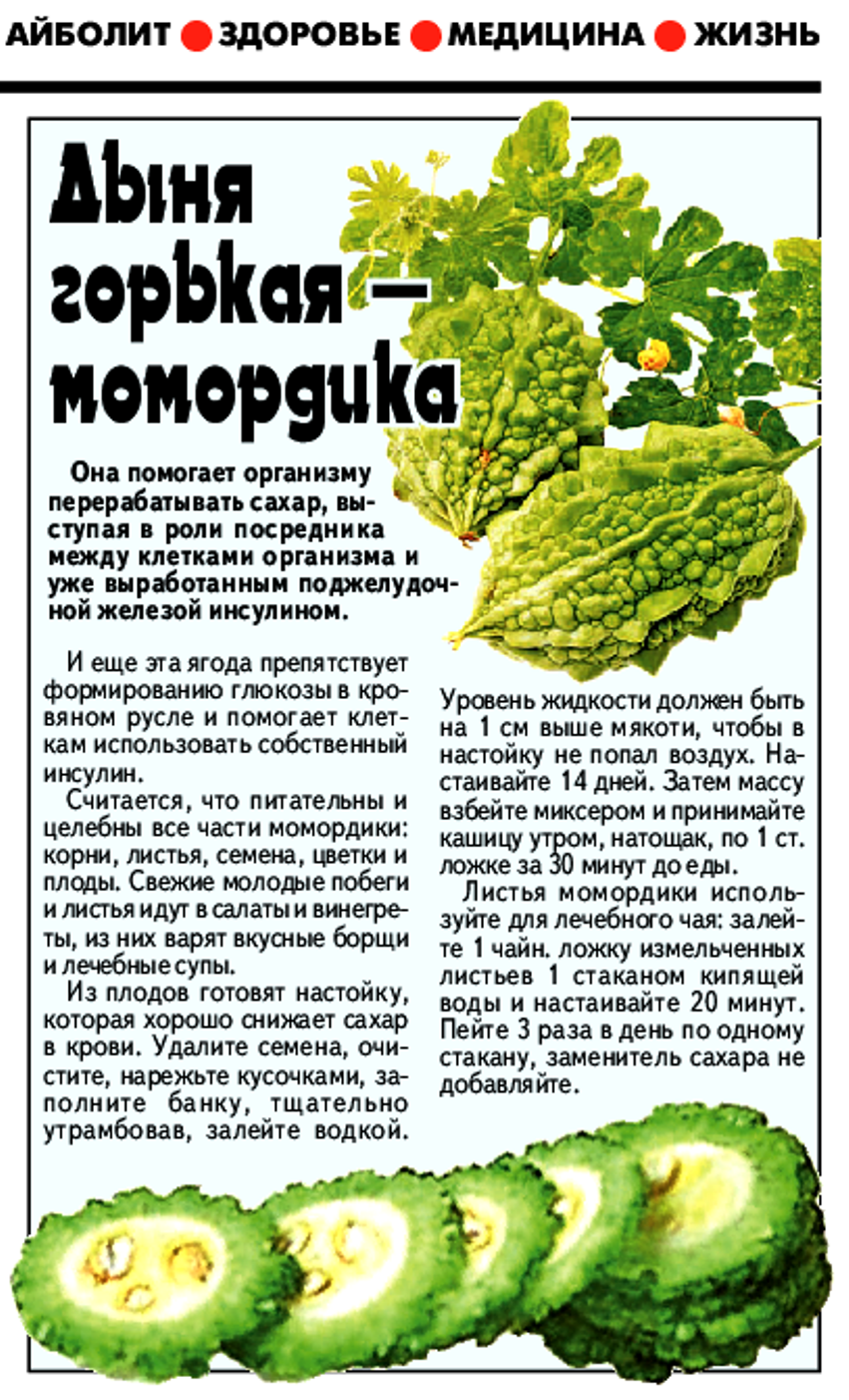 Момордика описание растения