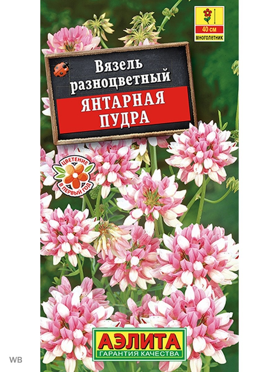 Вязель Янтарная пудра