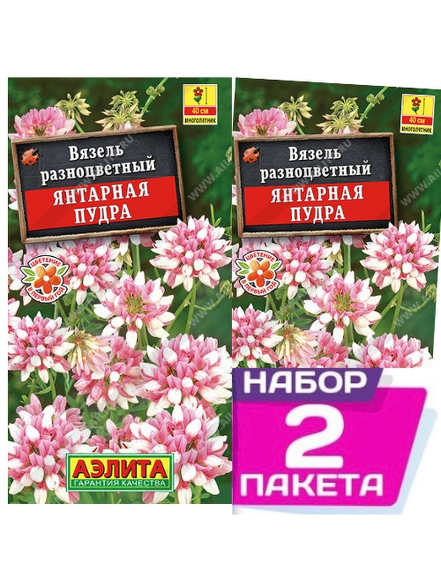 Вязель пестрый соцветие