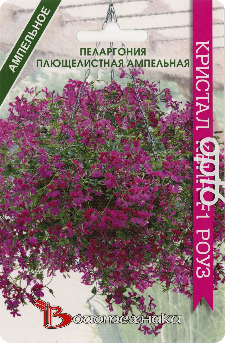 Пеларгония Кристал Квин f1.