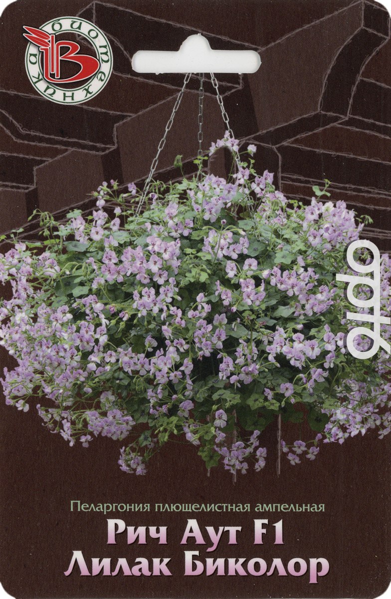 Пеларгония плющелистная ампельная Рич аут f1 Пинк