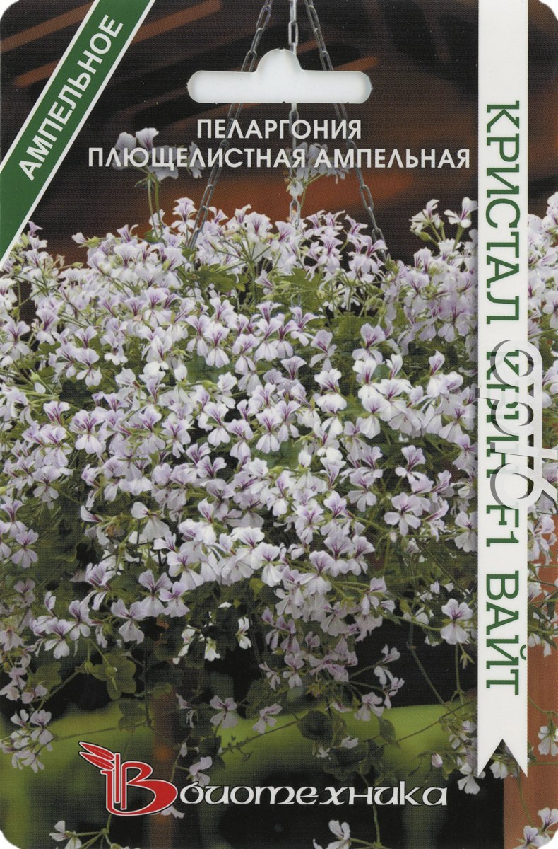Пеларгония Кристал Квин ред f1 плющелистная