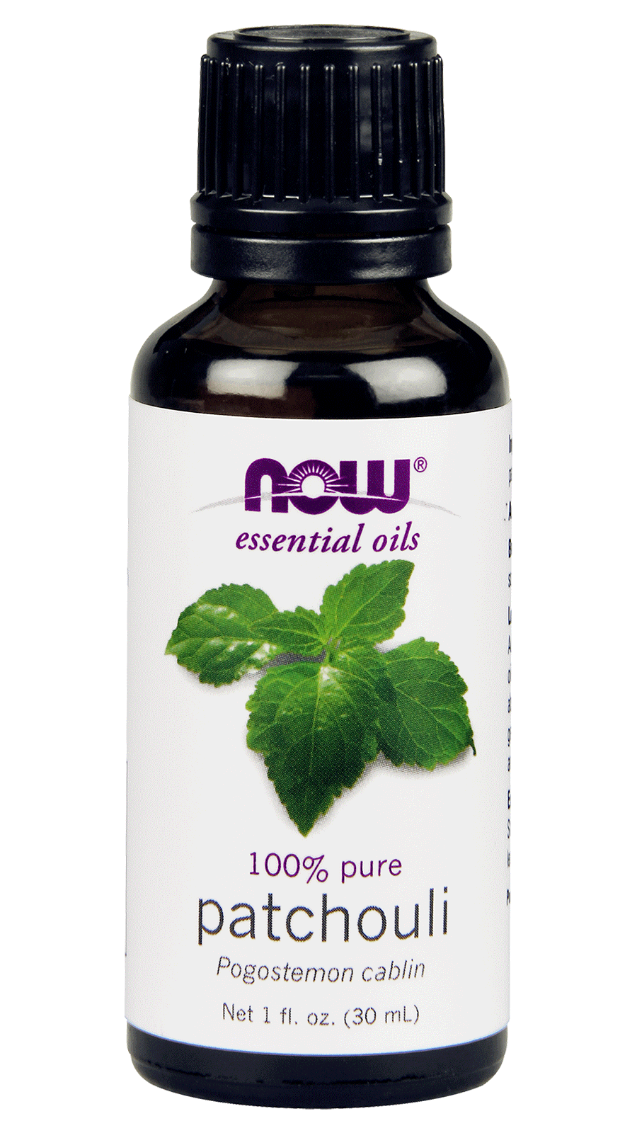 Пачули тёмный (Pogostemon cablin)