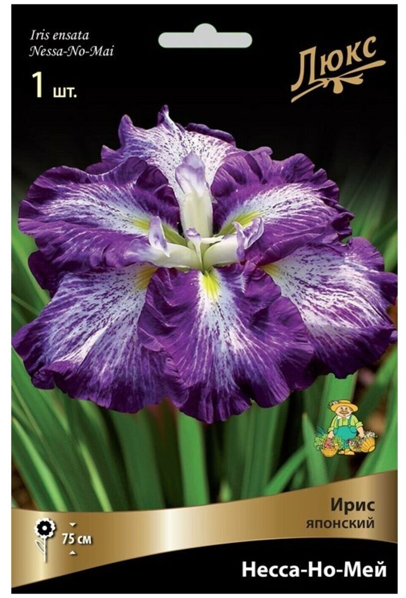 Ирис японский Лайт эт Дон