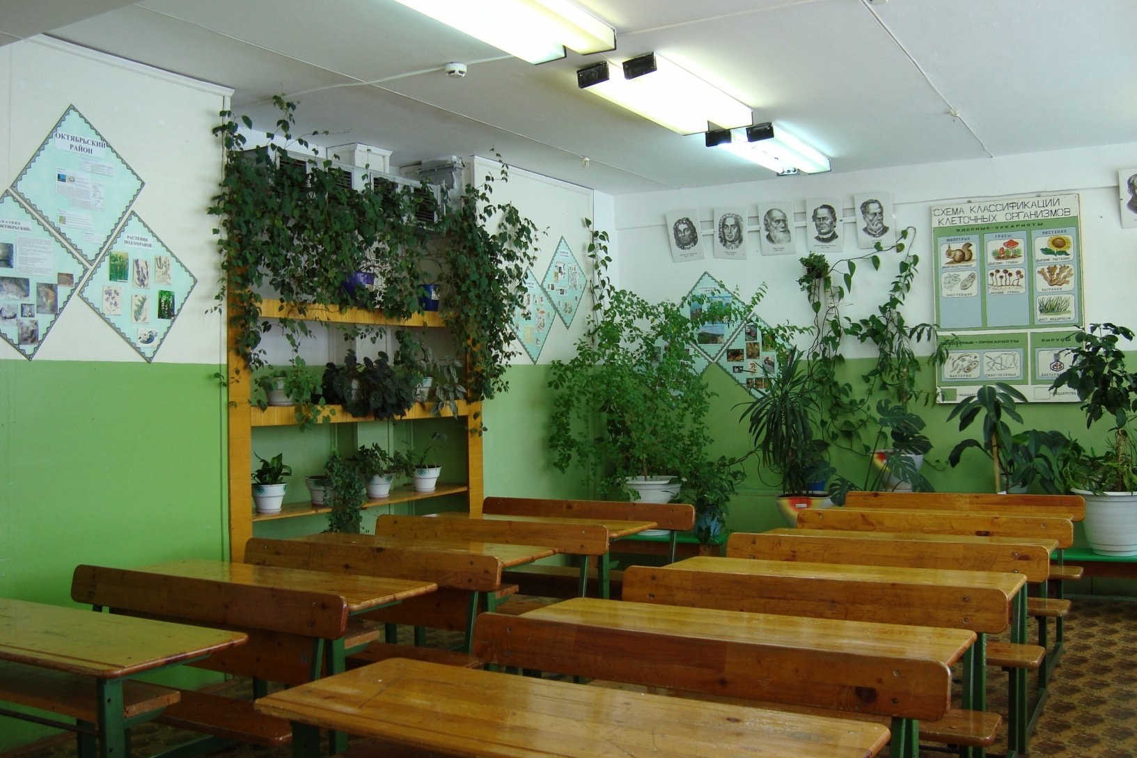 Урок кабинет биологии. Растения для школьных классов. Озеленение кабинета в школе. Растения в интерьере школы. Интерьер кабинета биологии.