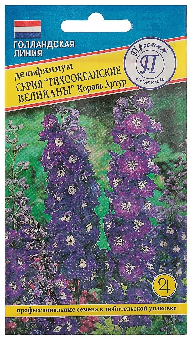 Дельфиниум Блэк Кинг