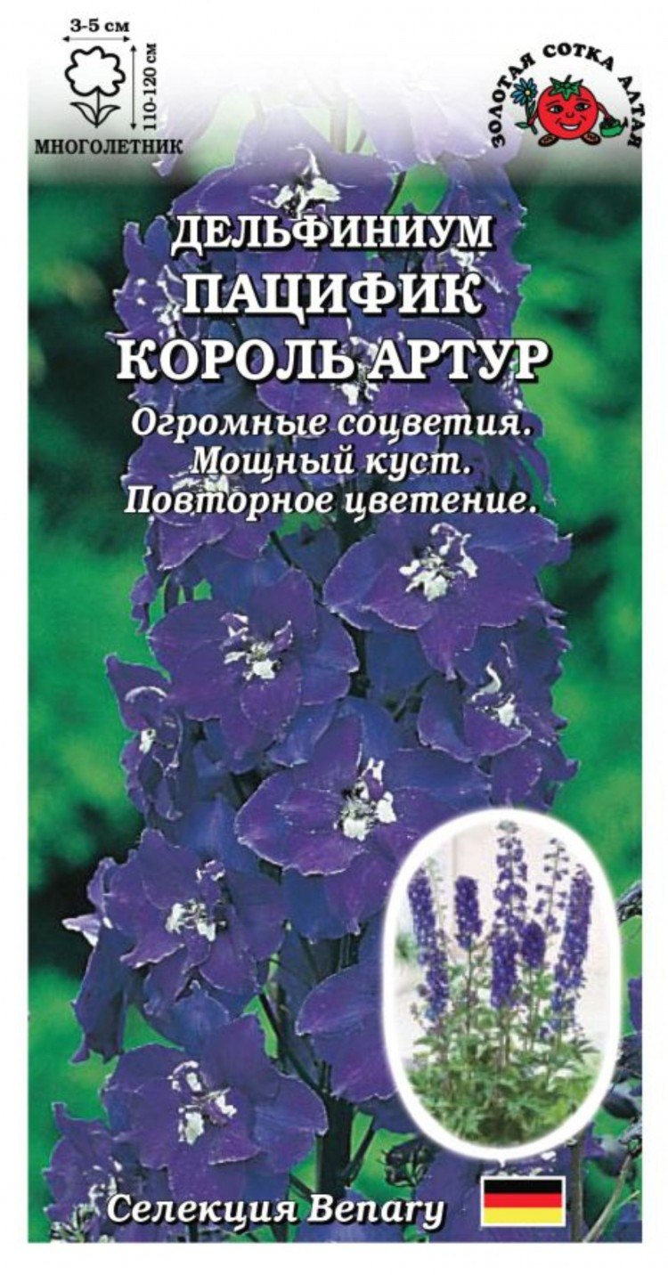 Дельфиниум Кинг Артур