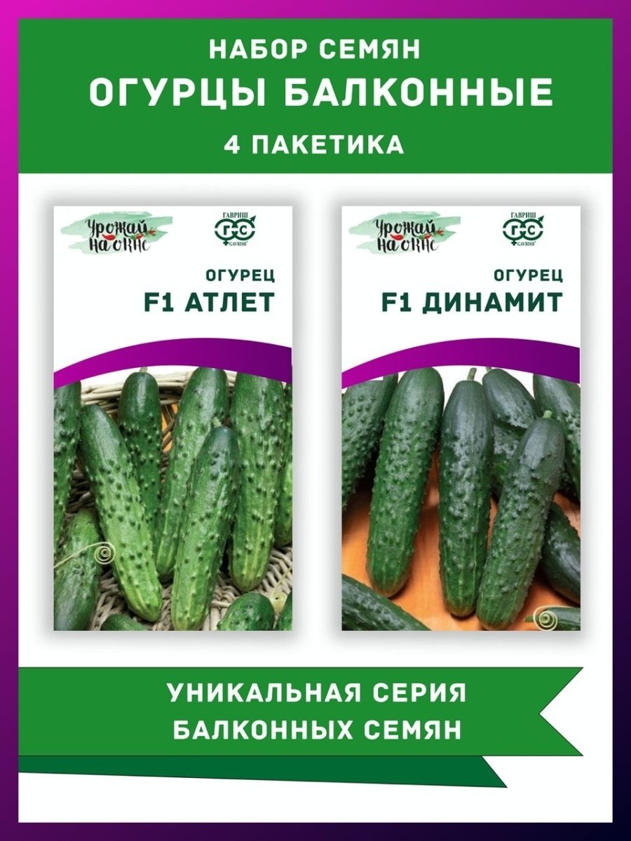 Огурец Динамит f1 описание