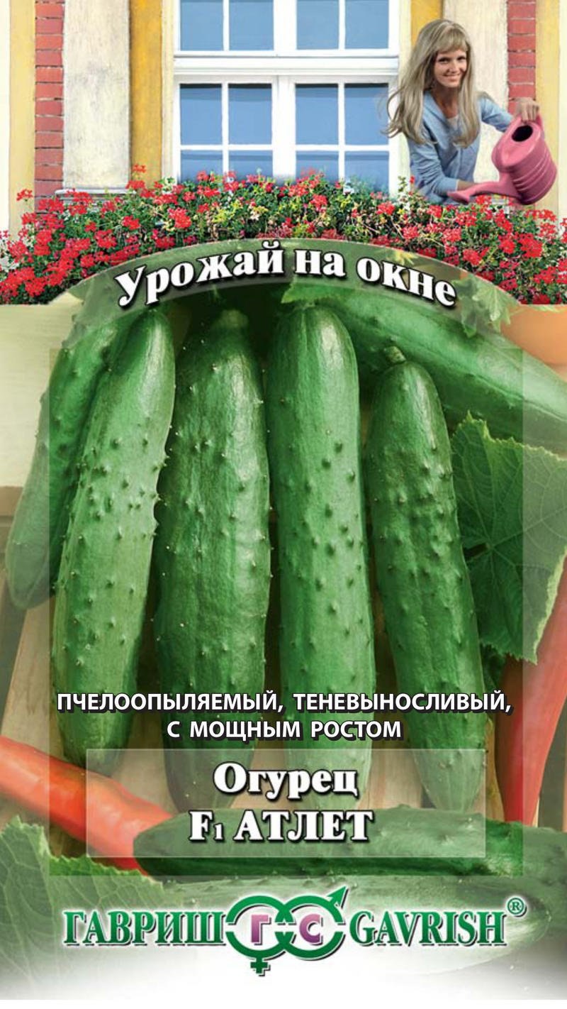 Огурец Атлет f1 Гавриш