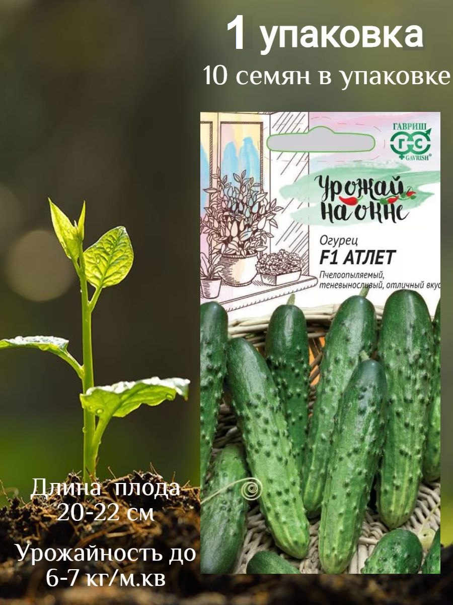 Атлет огурец (49 фото)