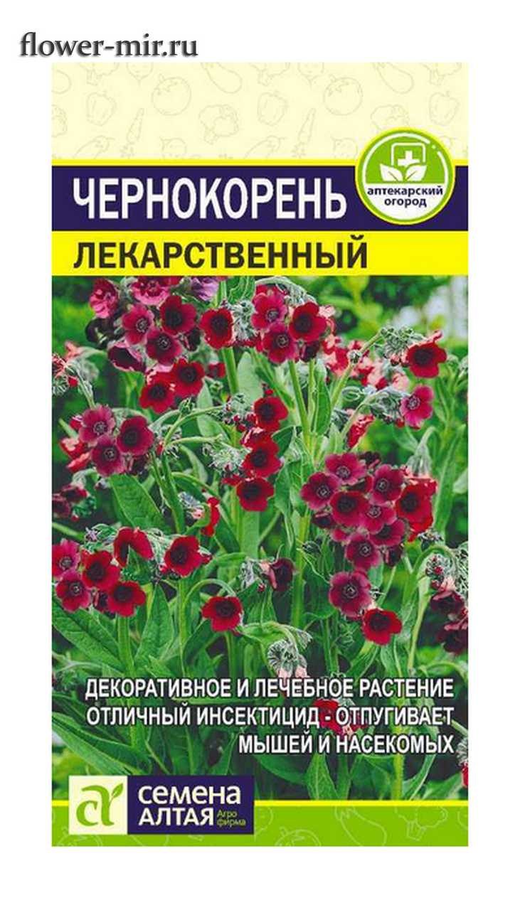 Чернокорень Крысогон