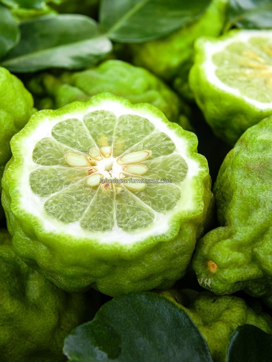 Бергамот плоды