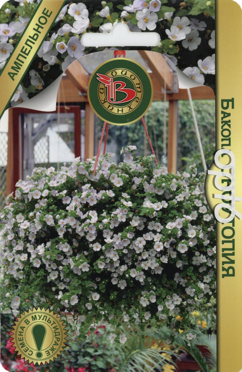 Бакопа ампельная белая