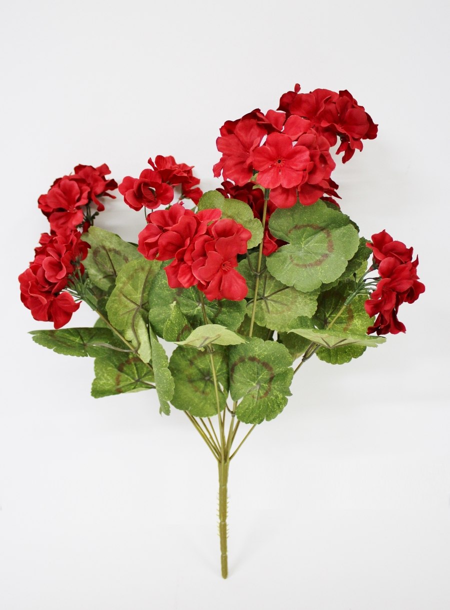 Герань букет