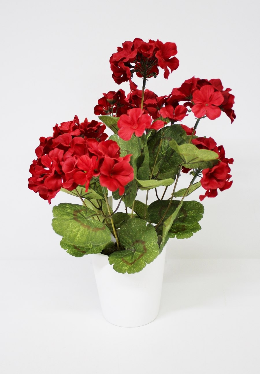 Герань букет