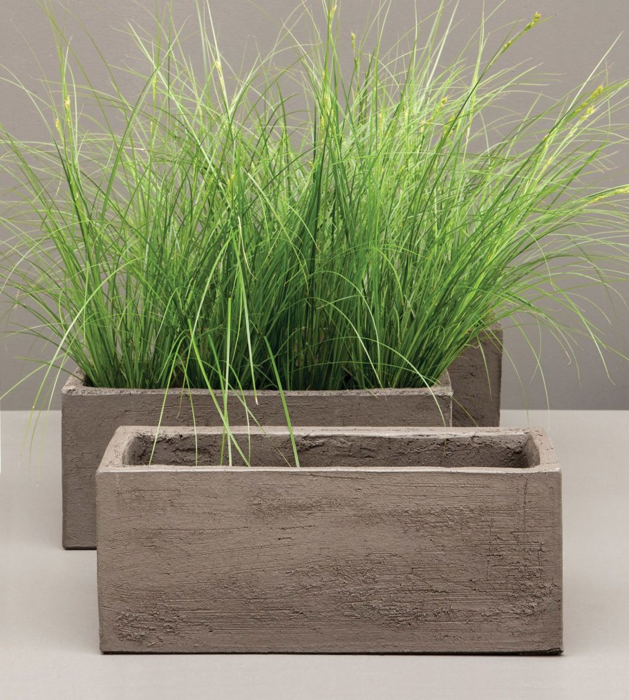 Трава декоративная для интерьера в саду