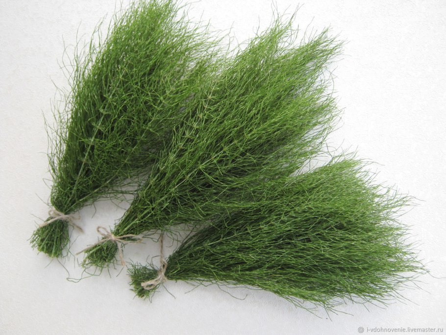 Трава для украшения букетов