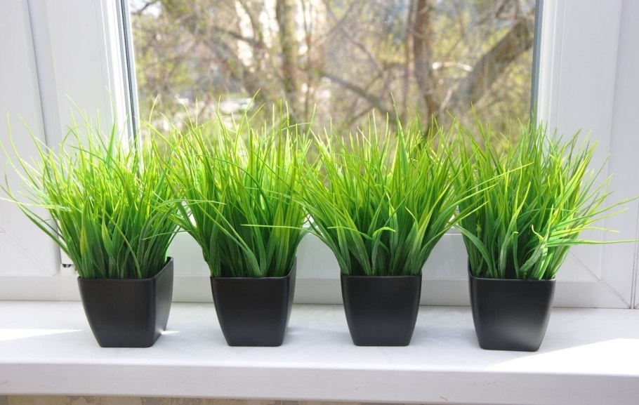 Ikea длинная трава