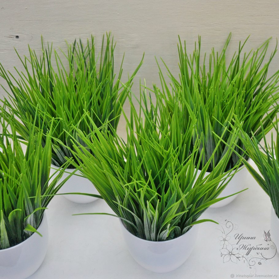 Декоративная трава в горшках